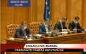 Romania. Parlamentul a votat starea de urgenta, cu modificarile PSD. De ce s-au enervat liberalii
