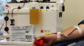 Italia vrea sa transforme suferinta in avantaj cu tratamentul experimental cu sangele pacientilor infectati