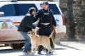 Canada: Politia confirma mai mult de zece morti in atacul din Nova Scotia