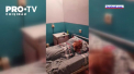Ce spune directorul Spitalului Raional Floresti, dupa ce o pacienta a filmat conditiile rele de acolo si a plasat filmuletul pe internet - VIDEO