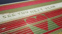 Mesaj scris in lanul de lalele pentru turistii care nu pot vizita anul acesta fermele de flori din Olanda