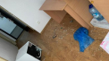 Romania. Imagini revoltatoare cu dezastrul lasat la centrele de carantina. Edil: „Nu se poate sa distrugi mobilier, sa scoti prize din pereti” - GALERIE FOTO