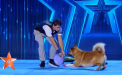 Romanii au talent 2020: Dogs Of Anarchy - VIDEO