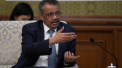 Avertisment de la directul OMS: Riscam sa revenim la izolare daca relaxam prematur restrictiile