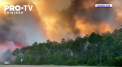 Imagini apocaliptice au fost filmate in Florida. Un incendiu de vegetatie a luat proportii uriase, amenintand sute de persoane - VIDEO