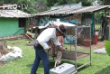Pandemia si carantina nu sunt doar cuvintele pe care le auzim cel mai des in ultima perioada, dar si numele a doi pui de puma nascuti la o gradina zoologica din China - VIDEO