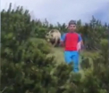 Secvente socante au fost surprinse in Alpii Italieni. Un baiat de 12 ani s-a intalnit cu un urs, iar amicul mamei sale, care a filmat totul, i-a salvat viata - VIDEO