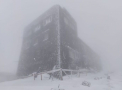 S-a intors iarna in Ucraina. Viscol, ceata si minime de - 1 grad Celsius - FOTO