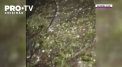 Prima zi de vara a venit cu vant si ploi puternice in Rusia. In cateva regiuni a cazut grindina cat oul de gaina, iar numeroase masini au fost avariate - VIDEO
