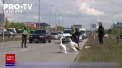 Politistii lituanieni au oprit circulatia pe o sosea aglomerata din vestul tarii, pentru a lasa sa treaca o familie de... lebede - VIDEO