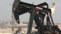 Pelliron 08.06.2020: Pretul la petrol ramane sub dominatia cumparator pentru perioada medie de timp, datorita unei noi decizii din weekend-ul trecut, de a prelungi acordul cu privire la micsorarea volumului de extrageri din partea OPEC+ - VIDEO