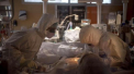 23 persoane - conectate la aparate de respiratie asistata. Cum evolueaza starea de sanatate a celorlati pacienti