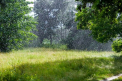 Vreme de weekend. Temperaturi de pana la 27 de grade, insotite de ploi, vom avea astazi in capitala. Ce maxime se vor inregistra in toate regiunile tarii. Prognoza meteo - FOTO