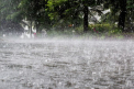Sfarsit de saptamana cu ploi si descarcari electrice. Cum va fi vremea in weekend. Prognoza meteo - FOTO