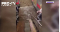 Natura s-a dezlantuit in Rusia si Romania. Vijelii insotite de grindina si ploi puternice au lasat in urma un tablou infricosator in mai multe judete din tara vecina - VIDEO
