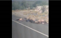Razboi brutal intre cartelurile de droguri din Mexic. Gropi comune cu sute morti