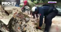 Un cutremur puternic cu magnitudinea de 7,4 a lovit sudul Mexicului. Cel putin 5 persoane au murit, iar mai multe cladiri au fost avariate - VIDEO