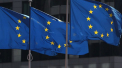 UE isi amana decizia in privinta redeschiderii frontierelor