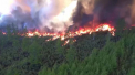 Temperaturile ridicate au produs peste 50 de focare de incendiu in peninsula Kamchatka