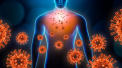 O mutatie a coronavirusului il face de pana la sase ori mai contagios. Infecteaza celulele mult mai usor decat actualul virus (studiu)