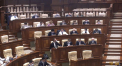 Deputatii PAS si PPDA, catre Stefan Gatcan: "Ce vi s-a intamplat? Pe unde ati umblat? Aveti toti dintii in gura? De ce nu stati in autoizolare?"