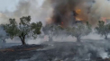 Incendiu de vegetatie puternic in Grecia. Sute de copii evacuati
