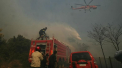 Incendii de vegetatie in Grecia. O tabara pentru copii a fost evacuata