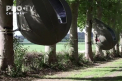 Vacanta in copaci sau camping la inaltime. Este o noua experienta pe care o incearca mai multi belgieni, care evita sa mearga in vacanta in alta tara - VIDEO