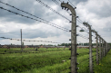 Germania. Un fost gardian de lagar de concentrare ar putea fi judecat la varsta de 95 de ani
