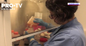 In plina cursa mondiala pentru gasirea unui vaccin anti-Covid, Rusia este acuzata ca ar incerca sa fure studii in acest domeniu - VIDEO