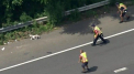 Un catel le-a dat mari batai de cap politistilor. De ce a fost urmarit pe autostrada de zeci de agenti