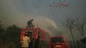Noi incendii violente de vegetatie in Grecia. Cateva localitati si o tabara de vara aflate la 100 de kilometri de Atena - evacuate