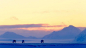 Record absolut de caldura in arhipelagul norvegian Svalbard, situat in regiunea arctica