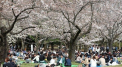 Tokyo ar putea declara starea de urgenta daca situatia se agraveaza