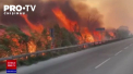Aproape 3 mii de oameni, localnici si turisti, au fost evacuati noaptea trecuta la nord-vest de Marsilia, pe Coasta de Azur, din cauza unui incendiu de vegetatie - VIDEO