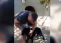 Anul acesta si vacantele lor sunt altfel. Deputatii se afiseaza pe facebook din curtile parintilor de pe la tara, altii se pregatesc de campania pentru prezidentiale - VIDEO
