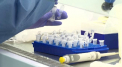 China a depistat urme de coronavirus intr-un lot de aripioare de pui congelate provenite din Brazilia