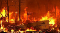 Lupta pompierilor americani cu incendiile de vegetatie din nordul Californiei continua. Flacarile au parjolit deja o suprafata de peste 80 de kilometri patrati 