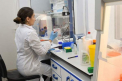 Noua metoda de testare Covid, experiment urias in Belgia