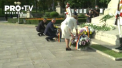 Huiduiti, in fata monumentului lui Stefan cel Mare. Cum au fost intampinati Dodon, Chicu si Greceani la depunerile de flori din centrul capitalei - VIDEO
