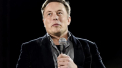 Elon Musk a depasit din nou barierele stiintei. Miliardarul a prezentat "cyberporc-ul", cu un cip implantat in creier