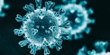 Femeile raman a fi mai afectate de coronavirus. Varsta medie a persoanelor infectate cu COVID -19 a scazut - FOTO