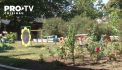 Gradinitele din Soroca nu si-au deschis usile de la intai septembrie. Comisia nationala de sanatate publica le-a interzis sa activeze pentru ca nu ar fi pregatite sa protejeze sanatatea copiilor pe timp de pandemie - VIDEO
