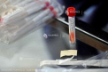 Coronavirus: Doi copii ai lui Berlusconi si iubita acestuia, testati pozitiv cu SARS-COV-2
