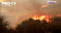 Incendiile de vegetatie din California au devastat peste 8 mii de kilometri patrati, o suprafata aproape de 80 de ori mai mare decat cea a Parisului - VIDEO