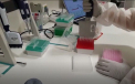 Pretul vaccinului anti-Covid distribuit de Comisia Europeana. Cand va ajunge in Romania