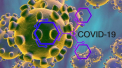 Cate cazuri de coronavirus sunt inregistrate astazi in Moldova