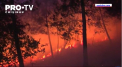 Imagini tulburatoare in Spania. Incendiile de vegetatie au facut prapad in regiunea Galicia, din vestul tarii - VIDEO