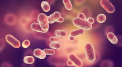 O noua epidemie in China. Bacteria a fost scapata dintr-un laborator