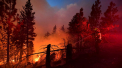 Incendiu scapat de sub control in apropierea Los Angeles. Flacarile au fortat evacuarea mai multor rezidenti - GALERIE FOTO